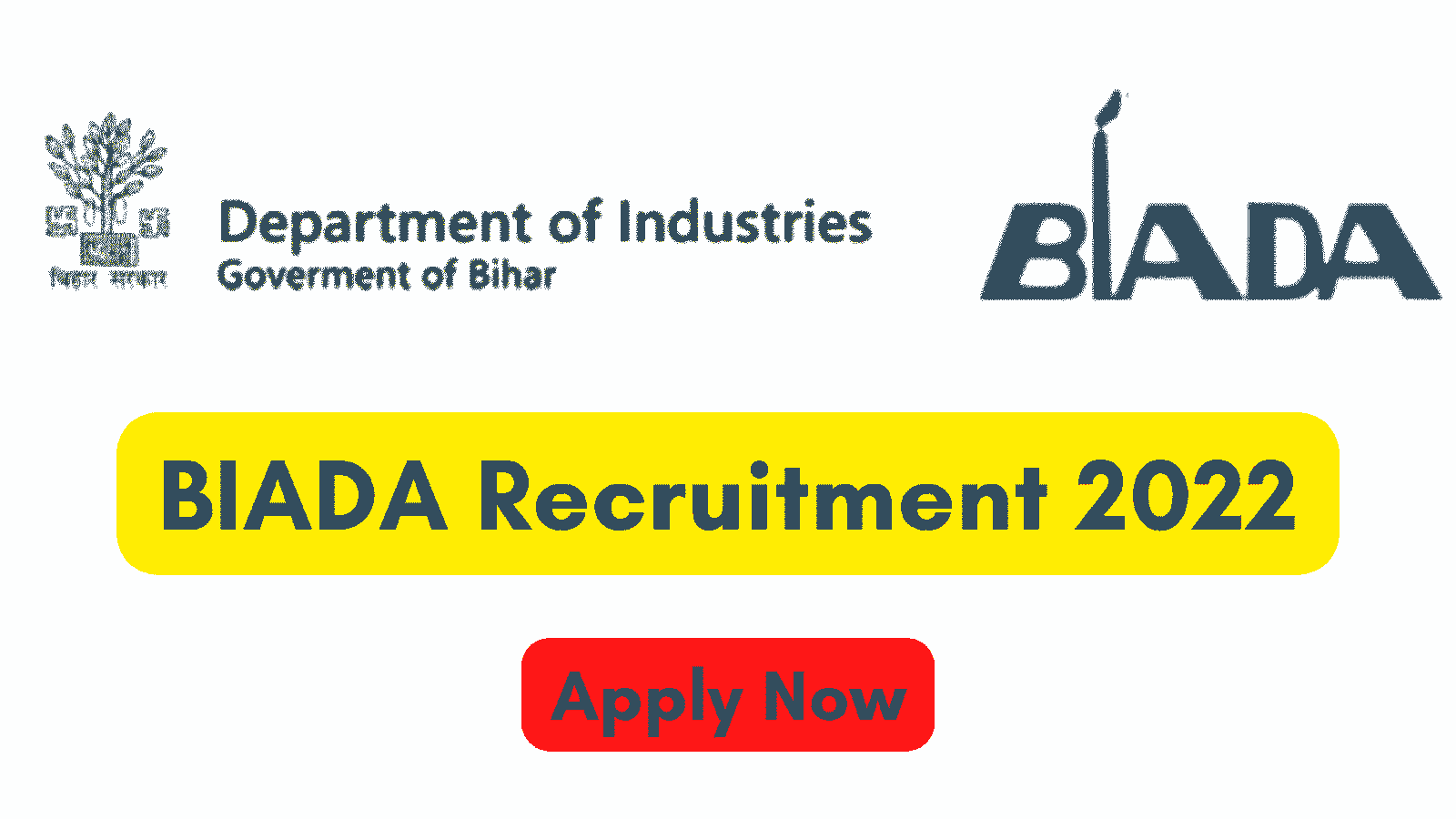 BIADA Recruitment 2022