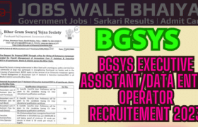 BGSYS Executive AssistantData Entry Operator Recruitement 2023