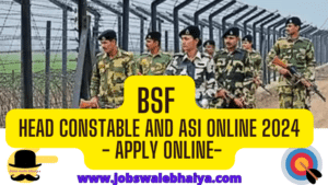 BSF HEAD CONSTABLE And ASI ONLINE 2024